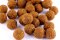 Wafters - Vyvážené Korkové Boilies - MLÉČNÁ KUKUŘICE - Ø 24 mm (Krmiva Hulín, BCMK24-1) | Krmiva Hulín