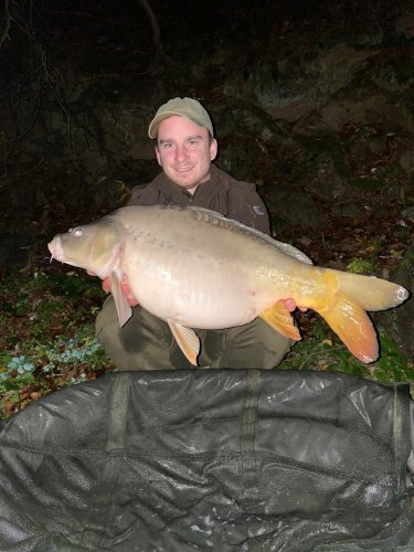 Boilies Krill a oliheň
