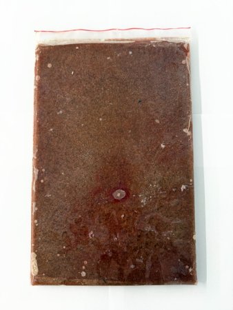 Daphnia Flat Plate - mrazené dafnie 500 g (zips vrecko)