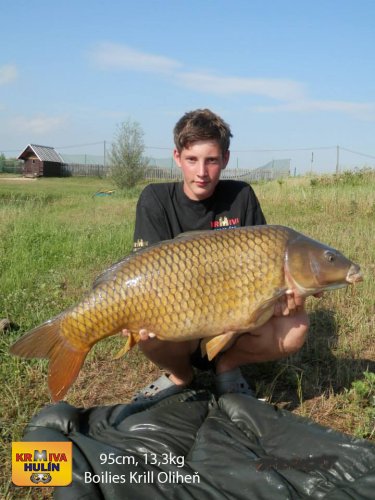 95cm, 13,3kg, boilies Krill/Oliheň