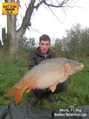 86cm, 11,3kg, boilies Belachan/Sýr, svazová voda