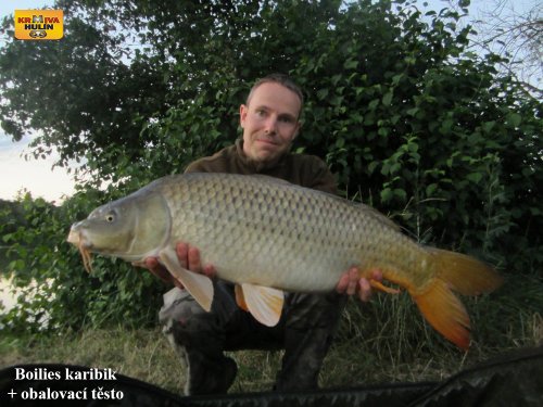 Boilies karibik v obalovacím těstě