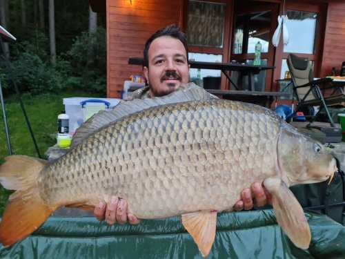 17kg, Boilies Medová pampeliška