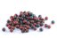 Boilies Duplex - PIKANTNÍ KRILL / ŠVESTKA a ČESNEK - Ø 24 mm - Vyberte balení: 250 g
