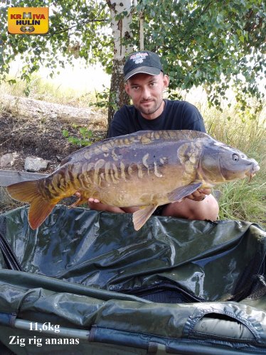 11,6kg, Zig rig - pop up ananas