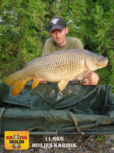 11,6kg, boilies Karibik, svazová voda