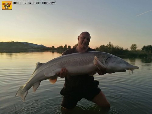 Boilies halibut/cherry