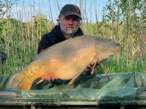 Boilies Pikantní krill