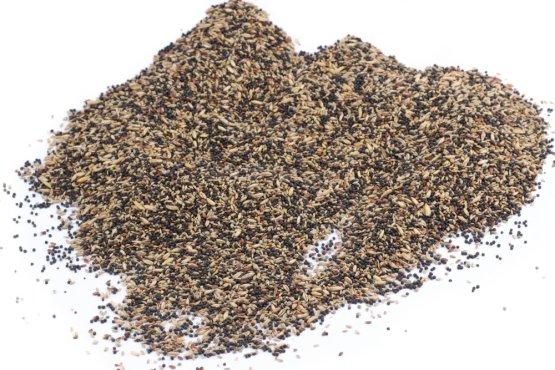 Krmivo Avest - PRO KANÁRY 13 (Avest, KPK13-1) | Krmiva Hulín