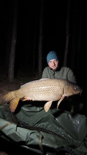Boilies Pikantní perník