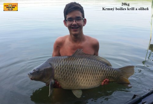 20kg, krmný boilies krill/oliheň