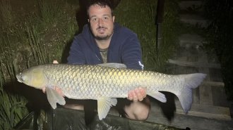 Boilies Frankfurtská klobása