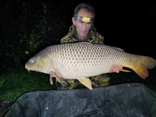 Boilies Švestka s česnekem