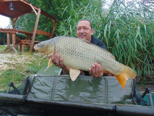 Sumčí boilies