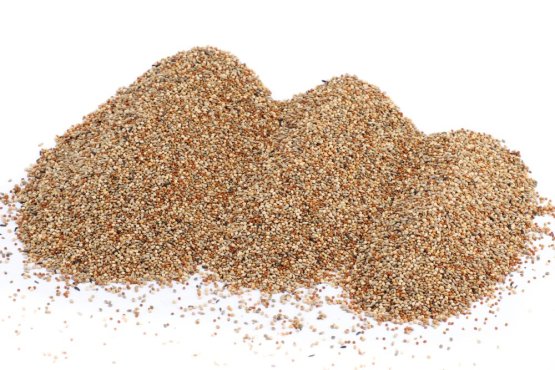 Proso seté - směs 4 barev - Vyberte balení: 1 kg