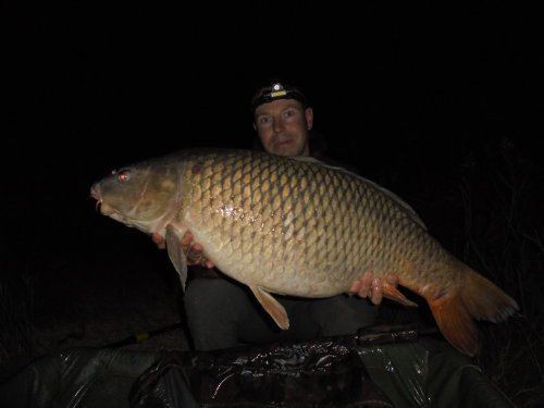 19,4kg, Boilies Pikantní krill