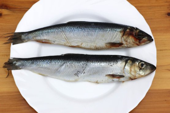 SLEĎ BALTSKÝ CELÝ VELKÝ - Mražené nástražní ryby - 25 cm - Vyberte balení: 500 g