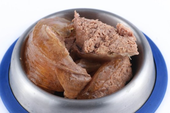 REX KUŘECÍ MASO - Chicken Monoprotein 800 g - Konzerva pro psy - Počet ks: 1 ks