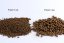 Plovoucí krmivo - PRE GROWER 15 EF - Coppens - Ø 2 mm - Vyberte balení: 1 kg