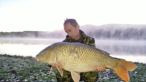 Boilies Pikantní perník