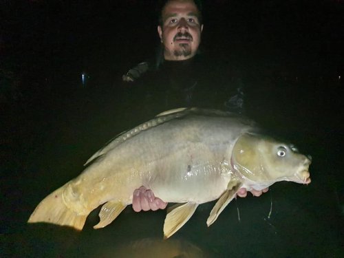 Boilies Frankfurtská klobása