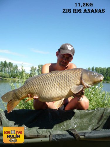 11,2kg, zig rig - pop up Ananas