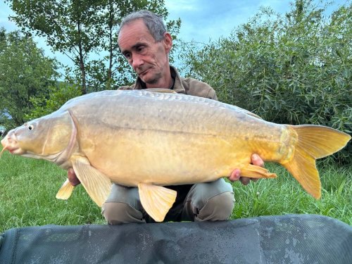 Boilies Pikantní krill