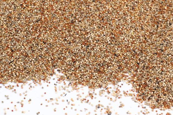 Proso seté - směs 4 barev - Vyberte balení: 1 kg