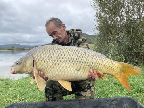 Boilies Pikantní perník