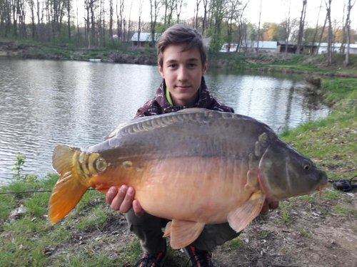 Boilies Tygří ořech
