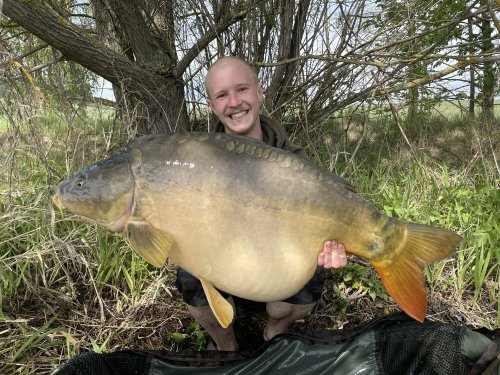 Boilies Pikantní krill + Pop up Bílý pepř