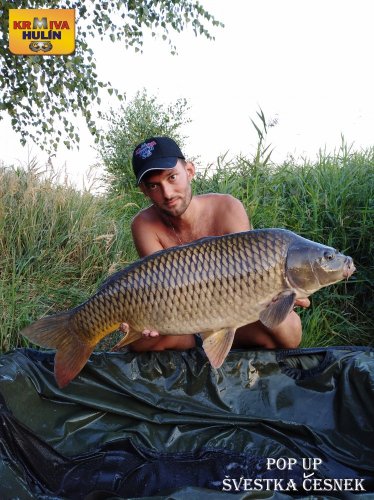 10kg, zig rig - švestka/česnek