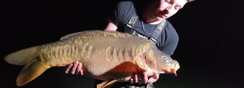 Boilies Tygří ořech