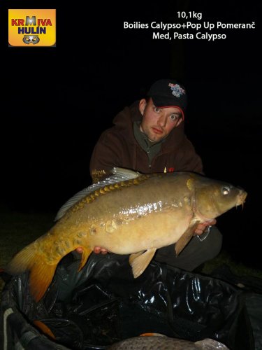 10,1kg, boilies Calypso, pop up Pomeranč/Med, celé obalené v obalovacím těstě calypso, svazová voda