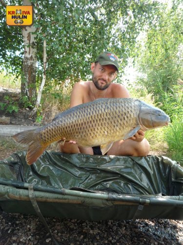 13,9kg, zig rig - pop up ananas
