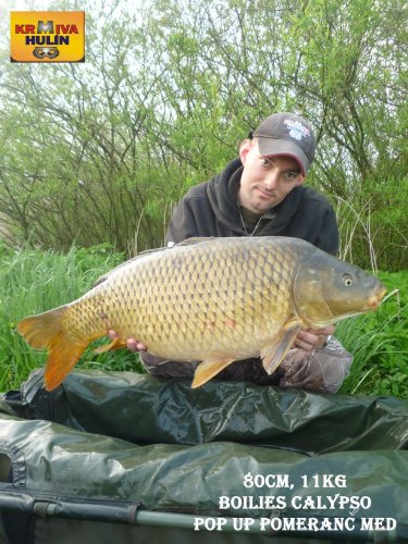 80cm, 11kg, boilies Calypso, pop up Pomeranč/Med, svazová voda