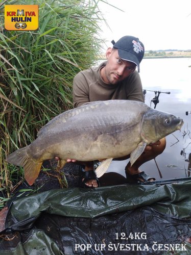 12,4kg, zig rig - švestka/česnek