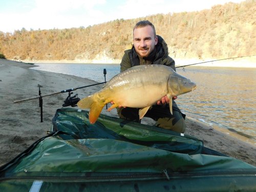 Boilies Krill a oliheň
