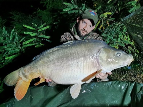 16kg, boilies Calypso