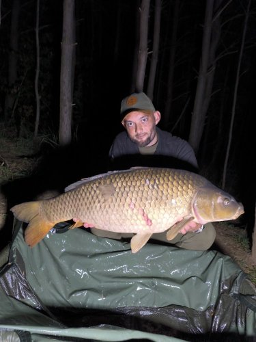 Boilies Pikantní perník