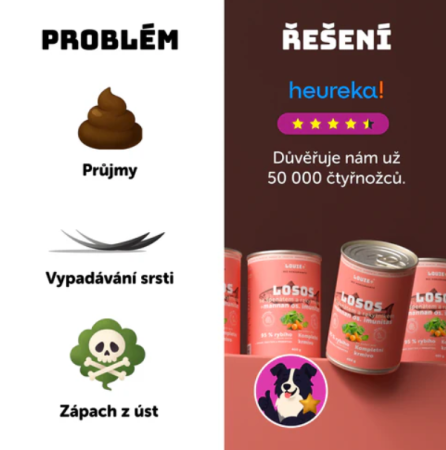 LOSOS S RAKYTNÍKEM, ŠPENÁTEM A PREBIOTIKY 800 g - Konzerva pro psy Louie - Počet ks: 1 ks