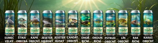 Pivo Regent - VLASTNÍ VÝBĚR 6 ks - Světlý ležák - Vodní Říše - 6x 0,5 l - Vyberte balení: KRABICE - MOTIV RYBY 1