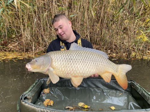 Boilies Pomeranč a chilli