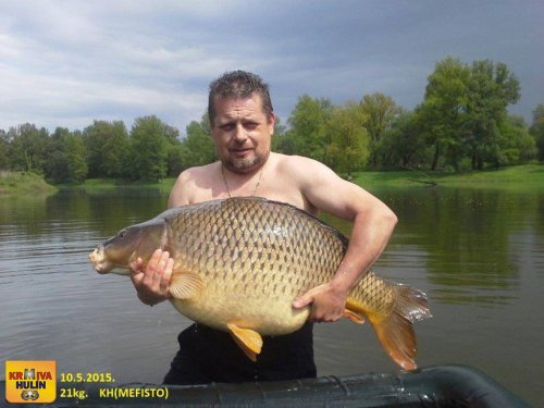 Boilies Mefisto