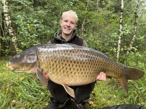 17kg, boilies Pikantní krill
