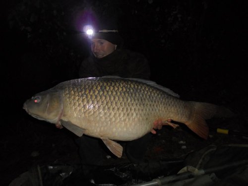 96cm, 18,9kg, Boilies Black and White
