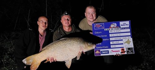 Boilies Pikantní perník