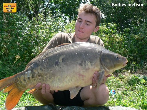 Boilies mefisto, svazová voda