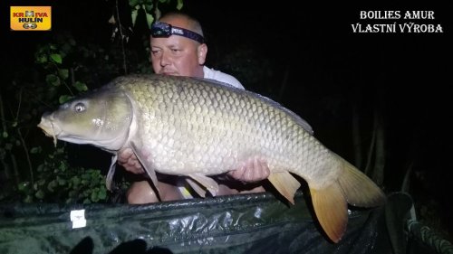 Boilies amur, vlastní výroba