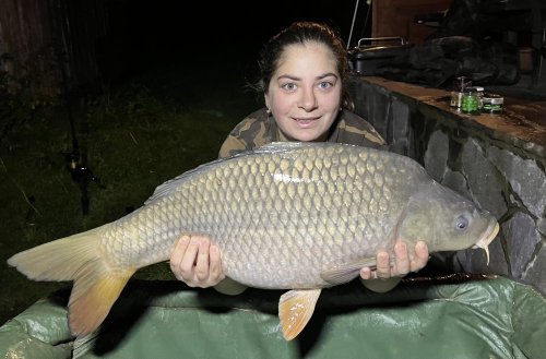 Boilies Black halibut